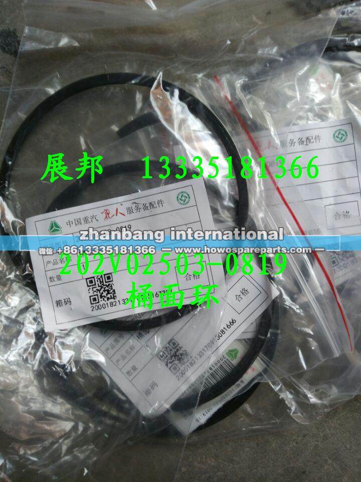 202V02503-0819,桶面環(huán),濟南冠澤卡車配件營銷中心