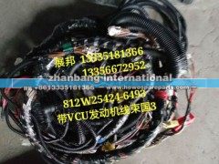 812W25424-6493,带VCU发动机线束国三,济南冠泽卡车配件营销中心