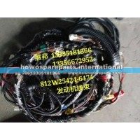汕德卡曼发动机线束
