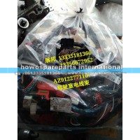 豪沃T5G 驾驶室电线束(D10B/新内饰)