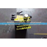 豪沃T7H  TGA右置电动油泵