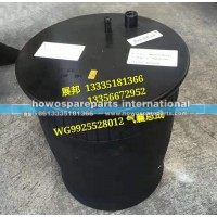 豪沃T7H悬浮桥 气囊总成