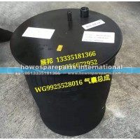 豪沃A7 举升气囊总成