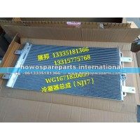 新豪瀚N7G  冷凝器总成（NJ17）