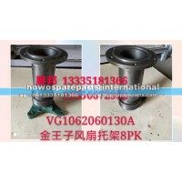 斯太尔金王子 风扇托架总成