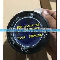 豪沃天然气 仪表