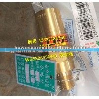 豪沃天然气车 安全阀