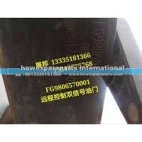  C5H  远程控制双信号油门