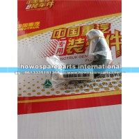 重汽豪沃TH7成型胶管（冷水）