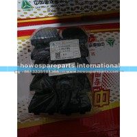 重汽豪沃TH7左铰链座堵盖WG1664119035