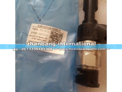 P091-000CS1,云內(nèi)發(fā)動(dòng)機(jī)噴油器總成叉車用,濟(jì)南冠澤卡車配件營(yíng)銷中心
