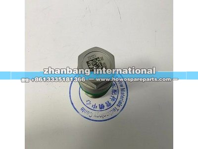 63421174,德爾福泄壓閥總成,濟南冠澤卡車配件營銷中心