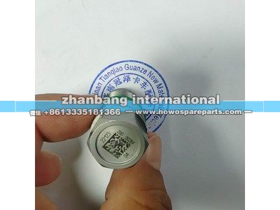 63421174,德爾福泄壓閥總成,濟南冠澤卡車配件營銷中心