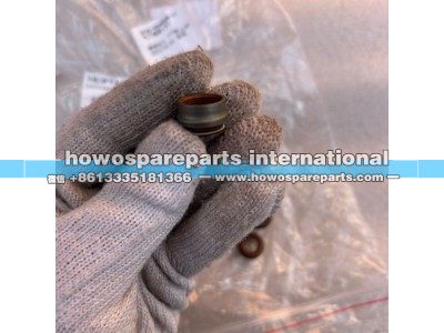 100549569,雷沃装载机气门油封,济南冠泽卡车配件营销中心