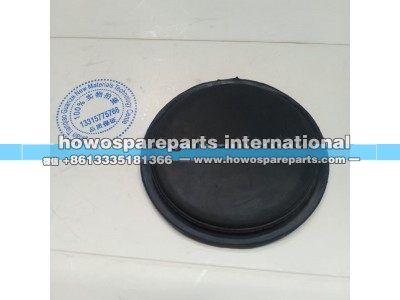 WG1664240100,汕德卡G7保险杠堵盖,济南冠泽卡车配件营销中心