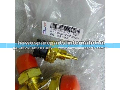 WG2203080020+035,福伊特缓速器液缓温度传感器,济南冠泽卡车配件营销中心