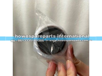 202V13120-0003,重汽曼天然气发动机低压过滤器滤芯（NG）,济南冠泽卡车配件营销中心