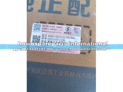 DZ93189712196,陕汽X6000底盘中央电器盒,济南冠泽卡车配件营销中心