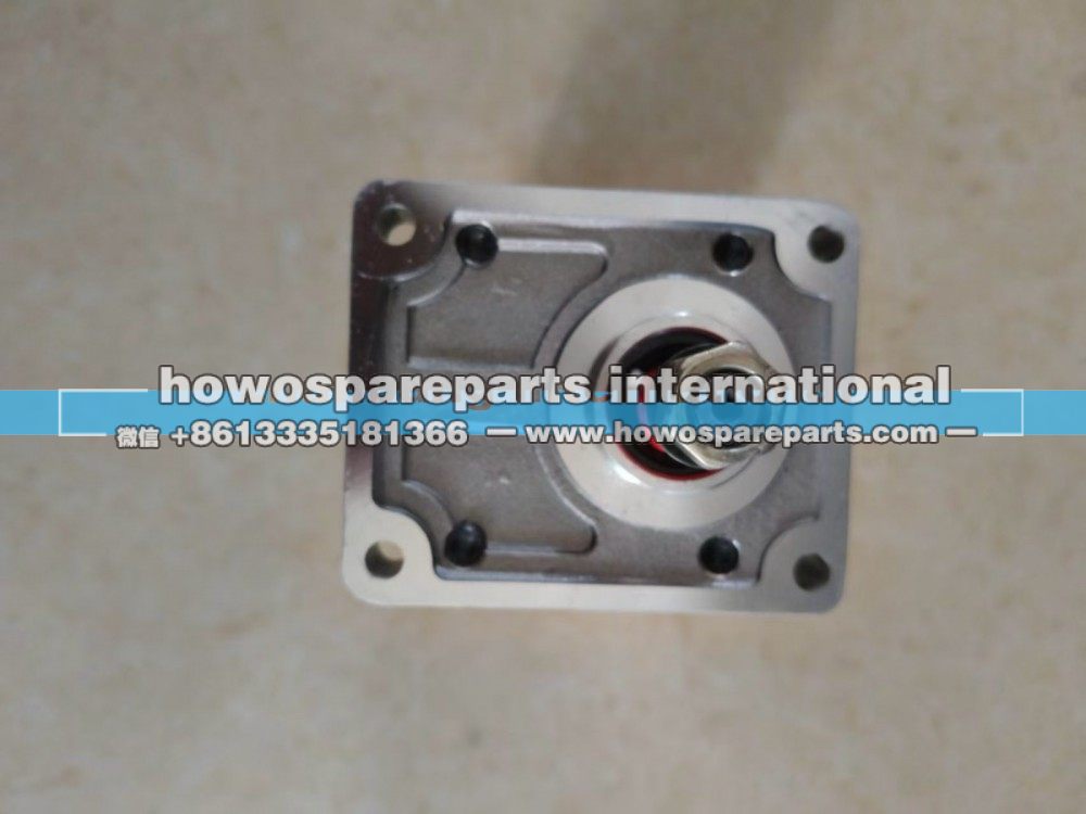 PGP505B0100CQ1D3NE5E3S,双联齿轮油泵,济南冠泽卡车配件营销中心