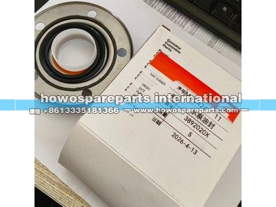 3892020X,康明斯发动机空压机轮油封,济南冠泽卡车配件营销中心