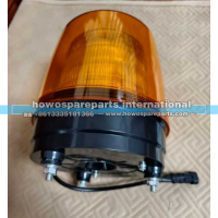 WG9719790021