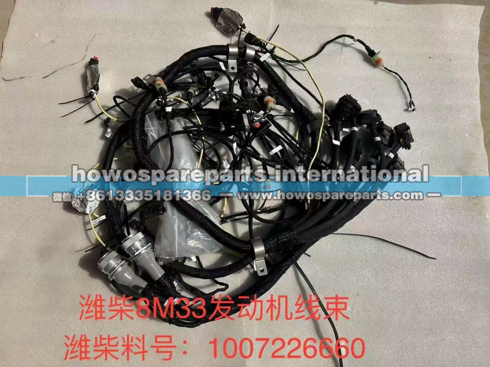 1007625507,WEICHAI12133 发动机线束,济南冠泽卡车配件营销中心