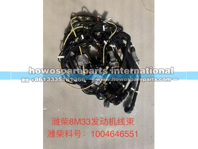 1007625507,WEICHAI12133 发动机线束,济南冠泽卡车配件营销中心