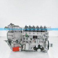 1001671518，1001671519，1003663922潍柴WP12喷油泵总成