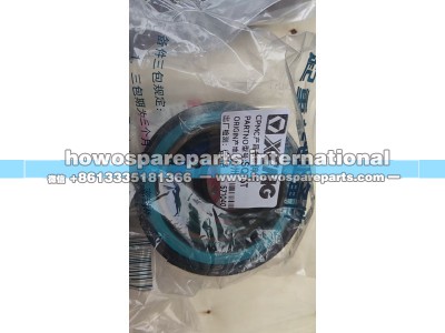 ,Sq16T. 徐工起重机修理包Qy20k徐工起重机变副油缸修理包,济南冠泽卡车配件营销中心