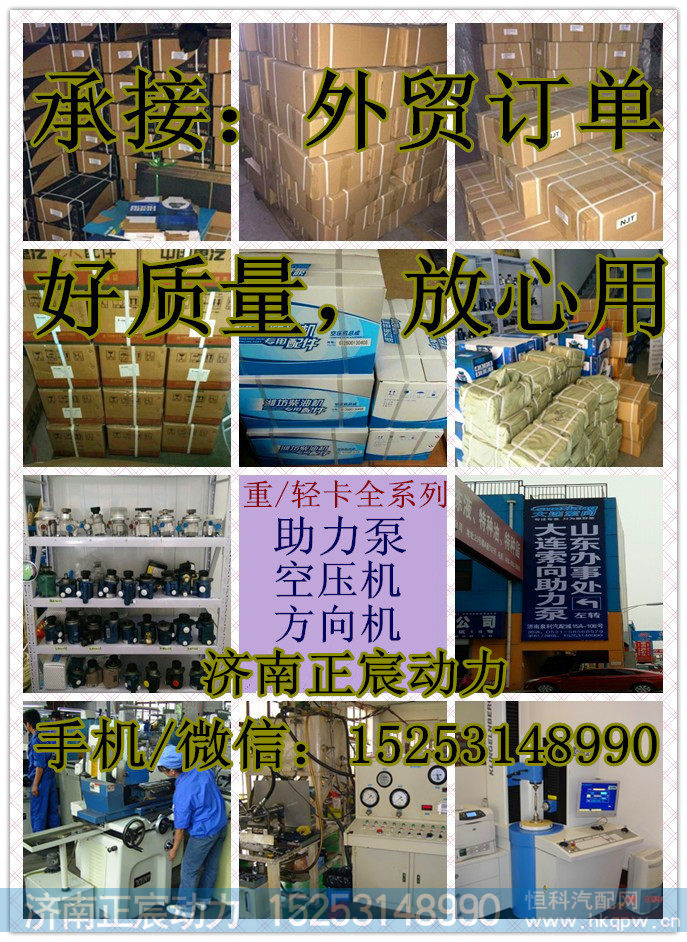 DZ9100130031,助力泵/转子泵/齿轮泵,济南正宸动力汽车零部件有限公司