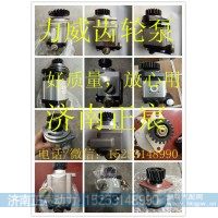QC12/13-D10WX 诸城福田助力泵 齿轮泵