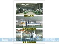 QC16/10-DYZ,匹配FL912、913发动机 助力泵 齿轮泵,济南正宸动力汽车零部件有限公司