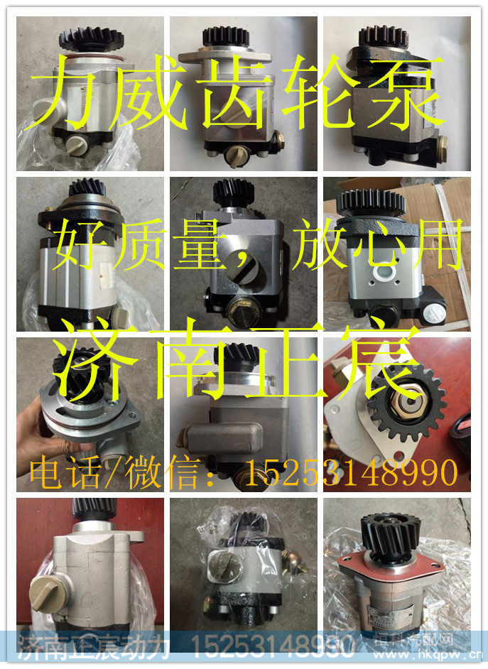 QC16/10-WX,锡柴6110（330离合器）助力泵 齿轮泵,济南正宸动力汽车零部件有限公司