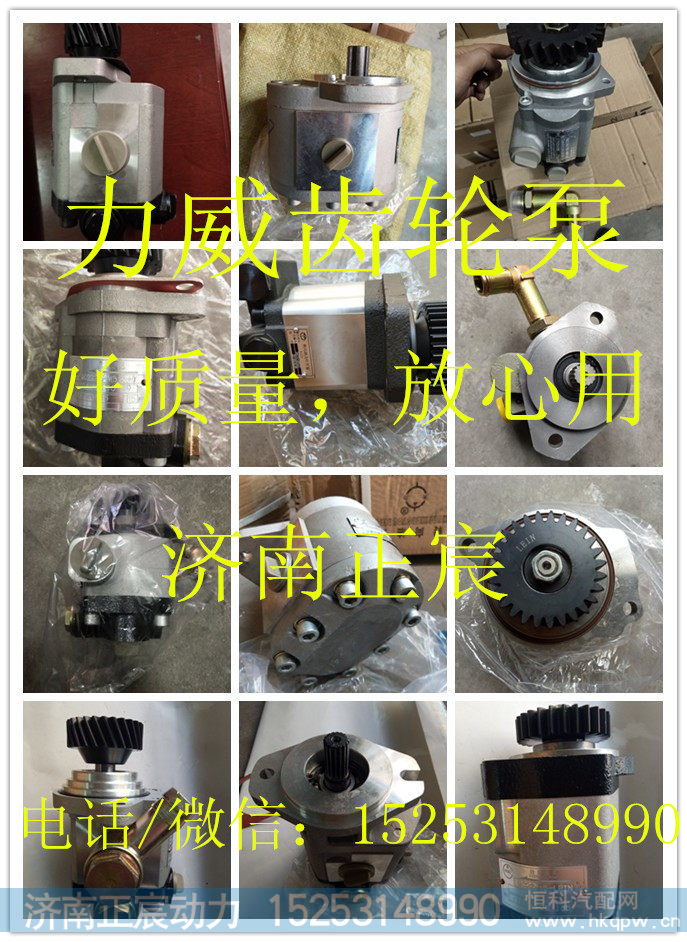 QC18/13-ST 潍柴、杭发ST  助力泵 齿轮泵/W20804.01500.01W