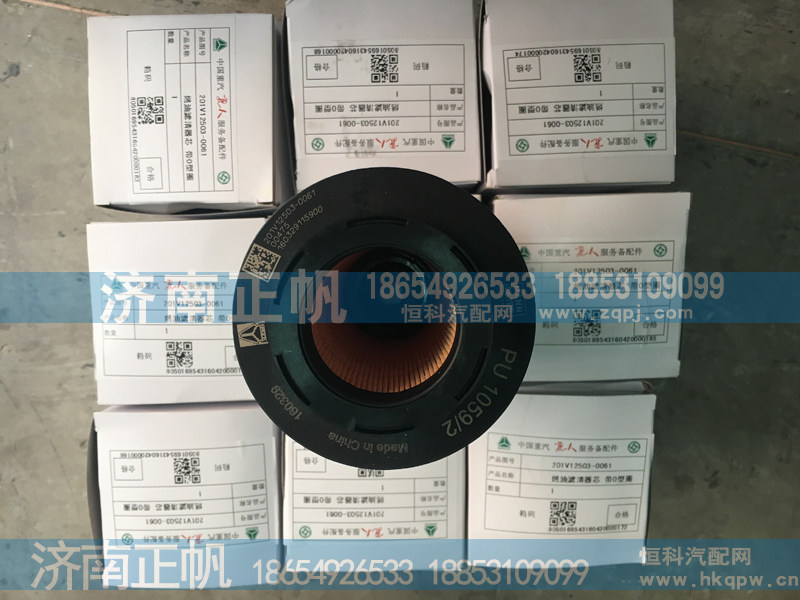 201V12503-0061燃油滤清器芯