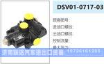 DSV01-0717-03应急系统系列