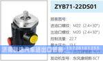 ZYB71-22DS01转向油泵