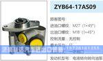 ZYB64-17AS09转向油泵