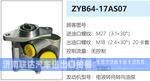 ZYB64-17AS07转向油泵