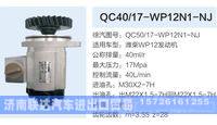 QC50-17-WP12N1-NJ,,济南联达汽车进出口贸易有限公司