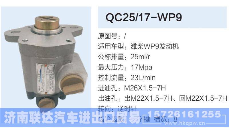 QC25-17-WP9,,济南联达汽车进出口贸易有限公司