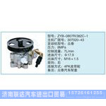 ZYB-0807R-382C-1,307020-43小車轉(zhuǎn)向泵系列