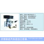 ZYB-0807R-610-1,吉利帝豪GX7小車轉(zhuǎn)向泵系列