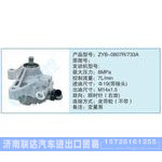 ZYB-0807R-733A小車轉(zhuǎn)向泵系列