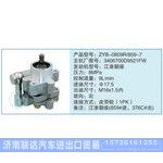 ZYB-0809R-859-7,3406700D9521FW小車轉(zhuǎn)向泵系列