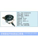 ZYB-07055R-2030,S1.2-1.4小車轉(zhuǎn)向泵系列