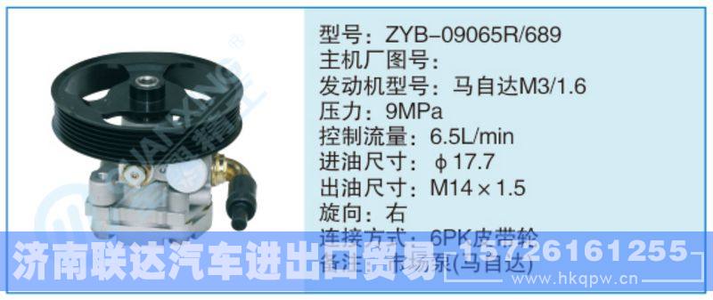 ZYB-09065R-689小車轉(zhuǎn)向泵系列/ZYB-09065R-689