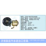 ZYB-0907R-2485B,D3407100FA120小車轉向泵系列