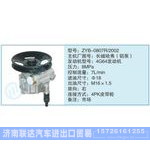ZYB-0807R-2002,長城哈弗（鋁泵)小車轉(zhuǎn)向泵系列