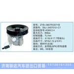 ZYB-0807R-2071B,S6J-3407010-C1小車轉(zhuǎn)向泵系列